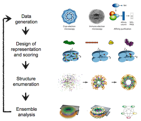 Integrative modeling procedure