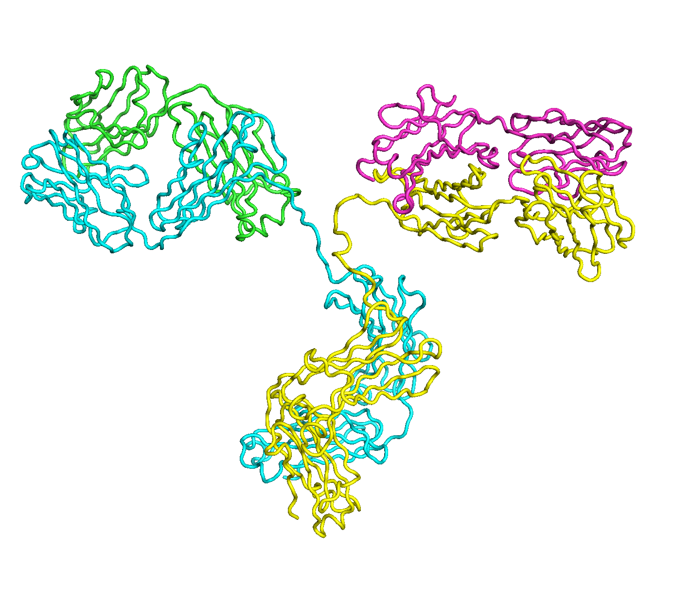 A sample of 15 antibody conformations